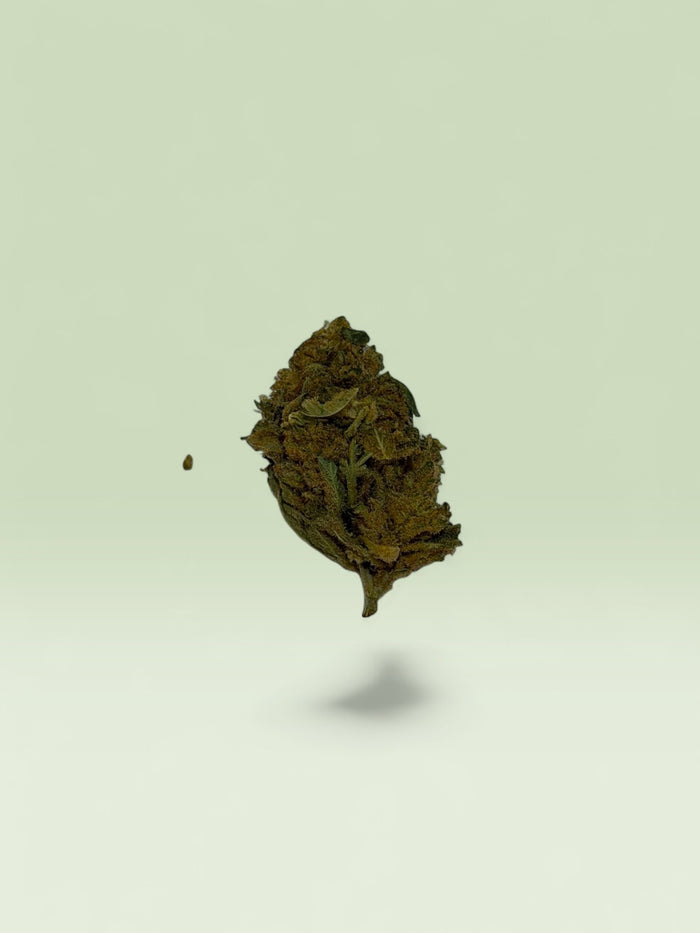 Lemon Pop