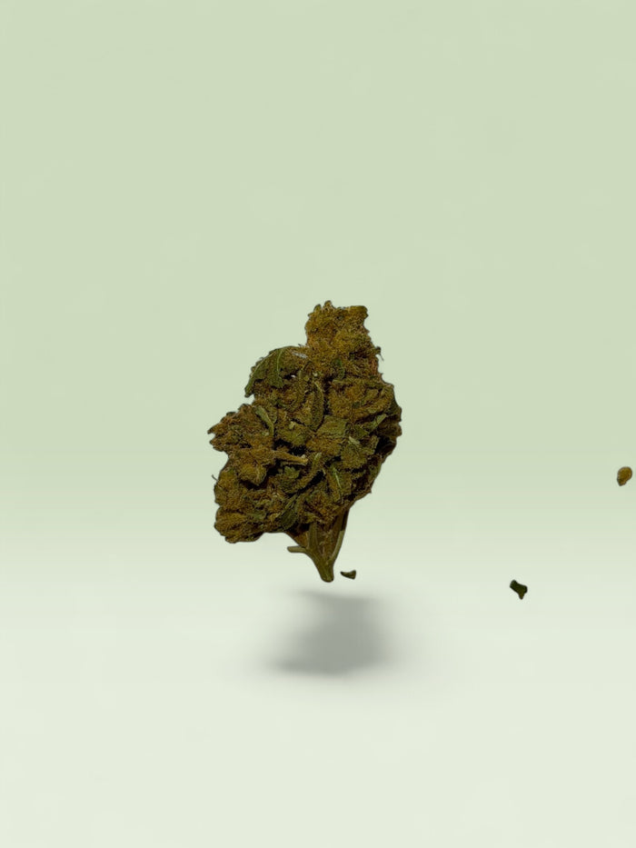 Budget Bud