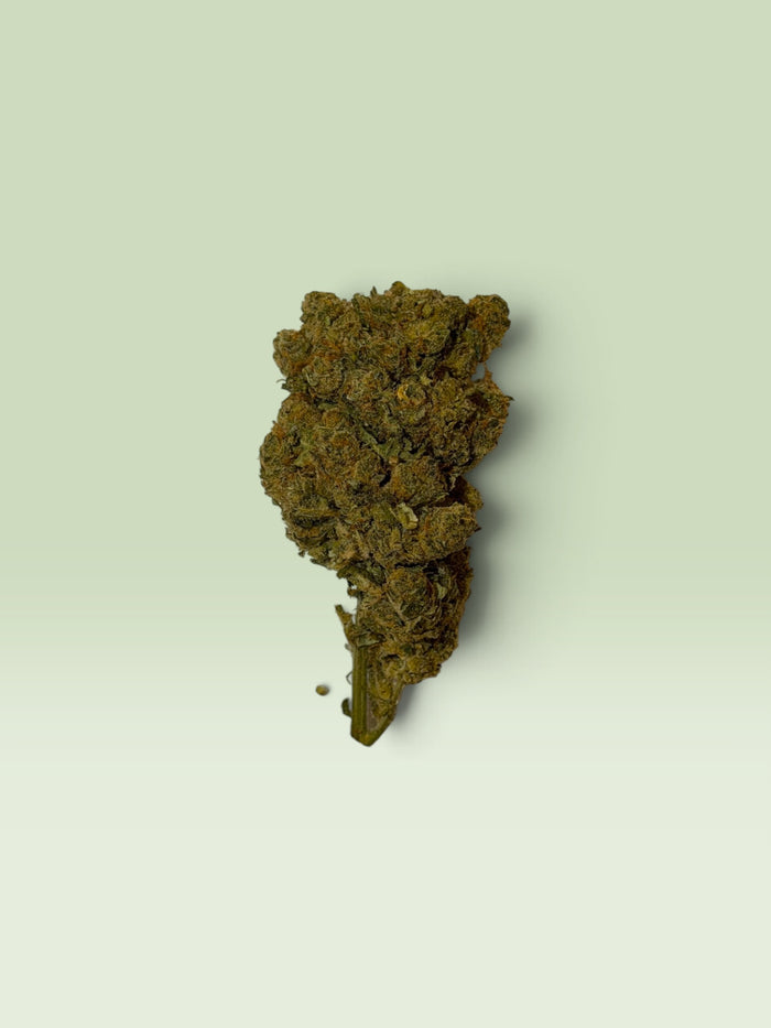 Caviar Haze